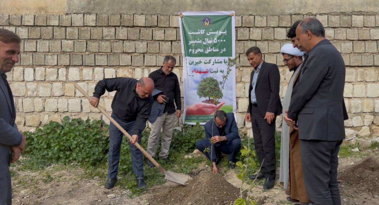 در راستای پویش ایران همدل آغاز کاشت ۵۰۰۰ نهال مثمر در ایلام با حضور معاون توسعه مشارکت‌های مردمی